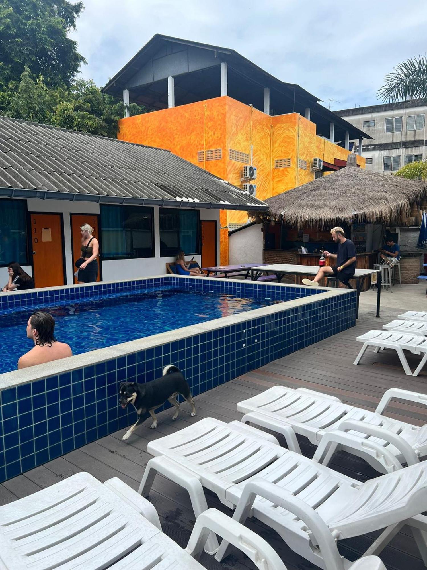 Revolution Chiang Mai - Old Town Hostel Eksteriør bilde